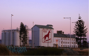 north freo